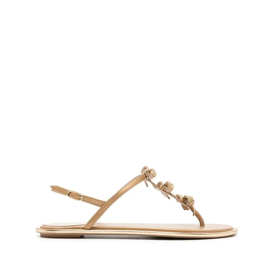 René Caovilla Embellished Mule - Gold