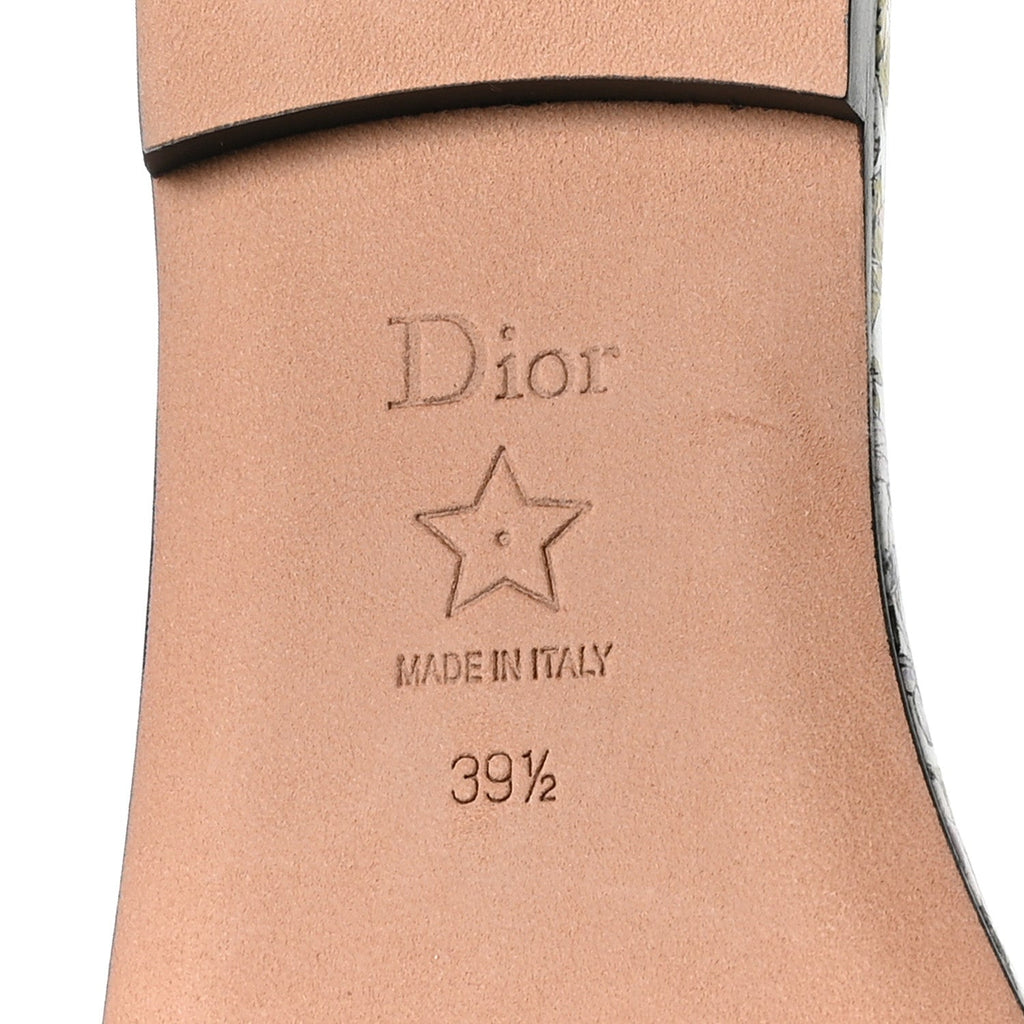 DIOR DWAY SLIDE MULTICOLOR