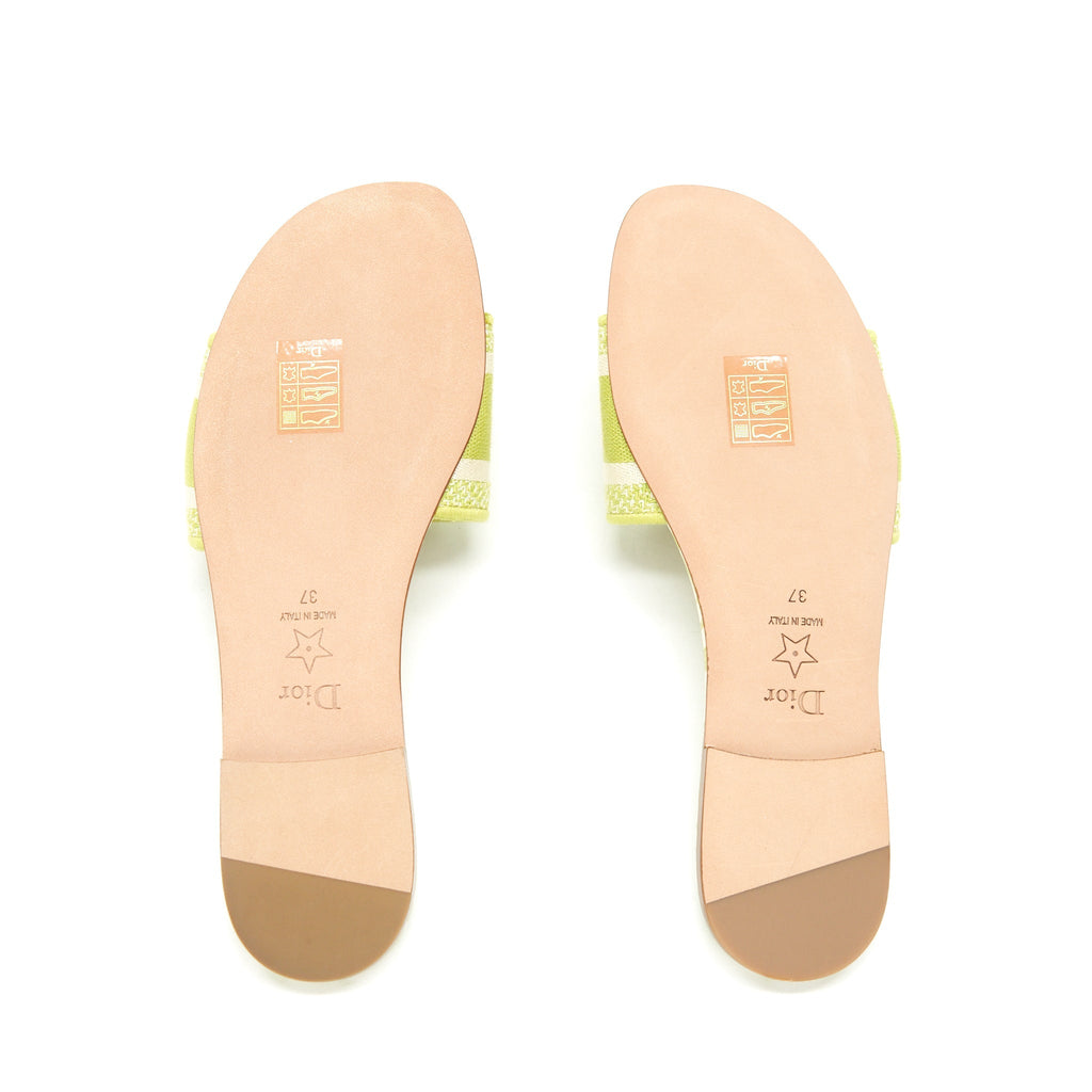 DIOR DWAY SLIDE LIME EMBROIDERED COTTON