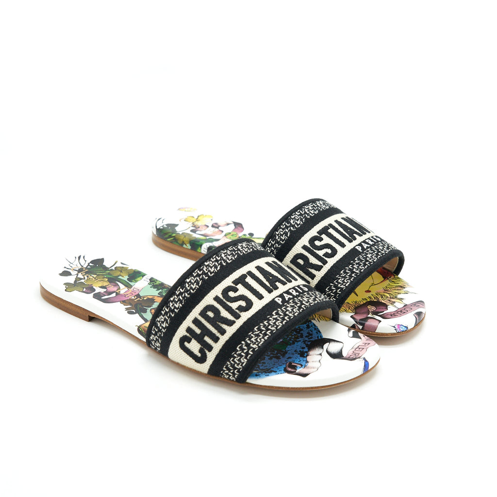 DIOR DWAY SLIDE MULTICOLOUR