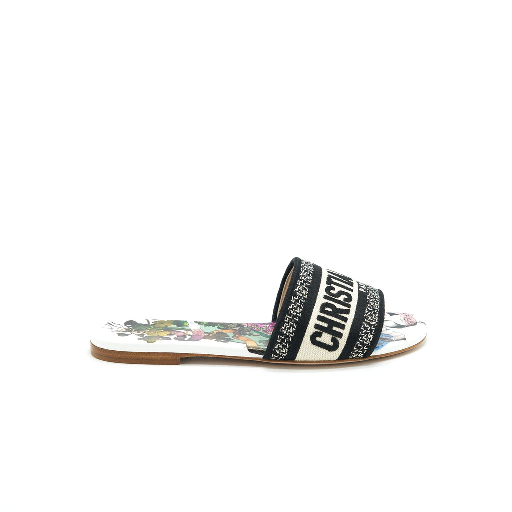 DIOR DWAY SLIDE MULTICOLOUR