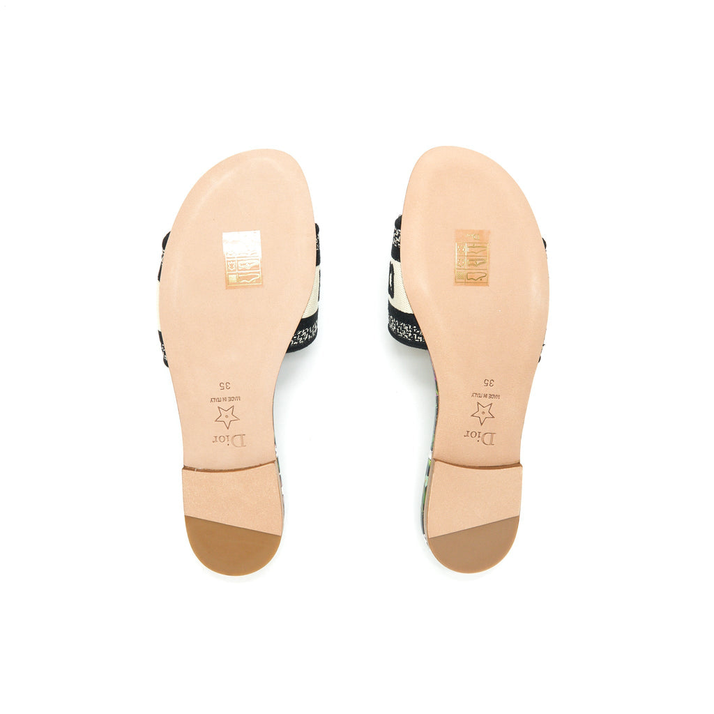 DIOR DWAY SLIDE MULTICOLOUR