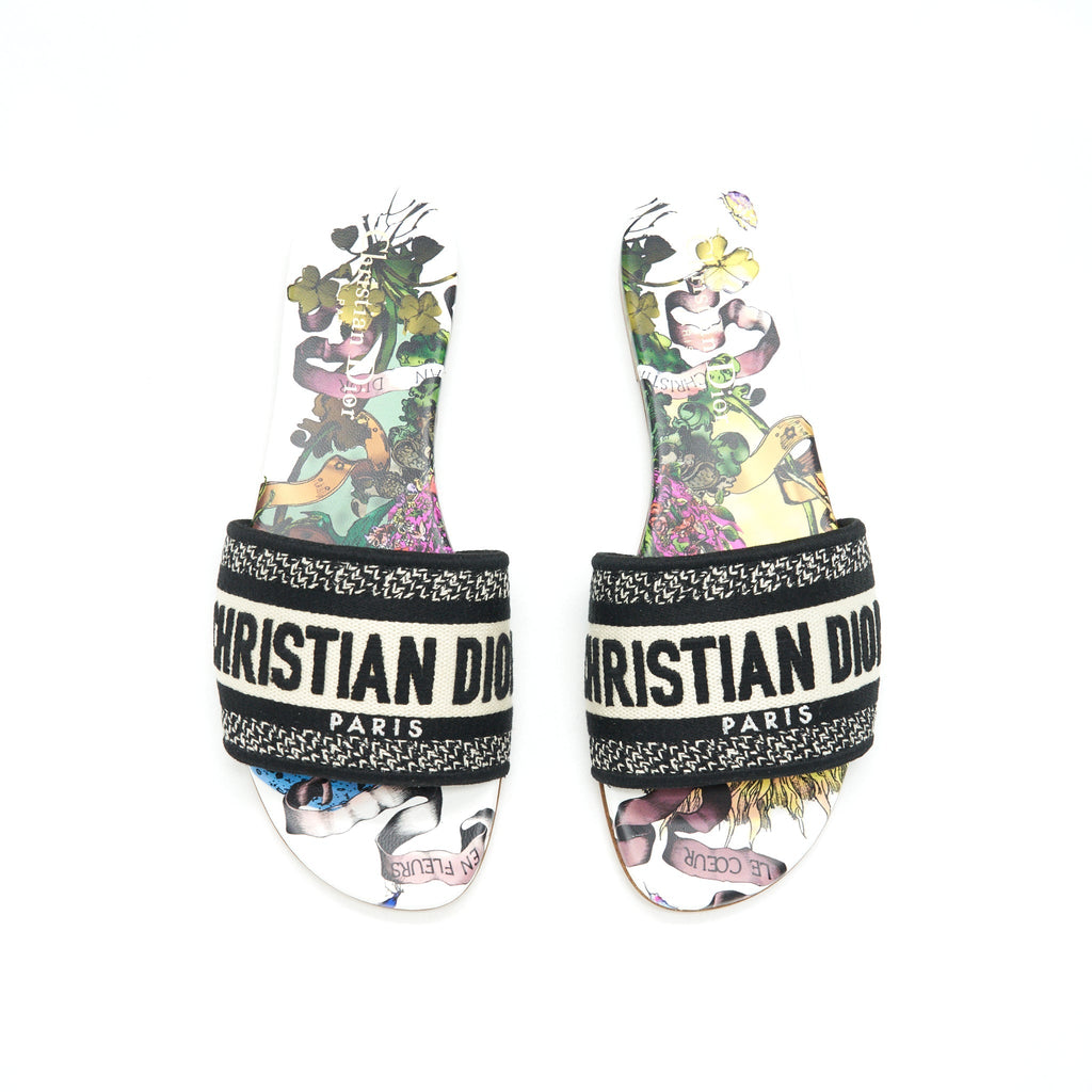 DIOR DWAY SLIDE MULTICOLOUR
