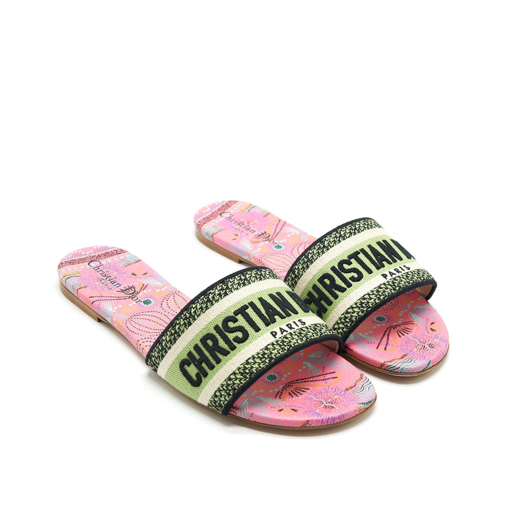 DIOR DWAY SLIDE MULTICOLOUR