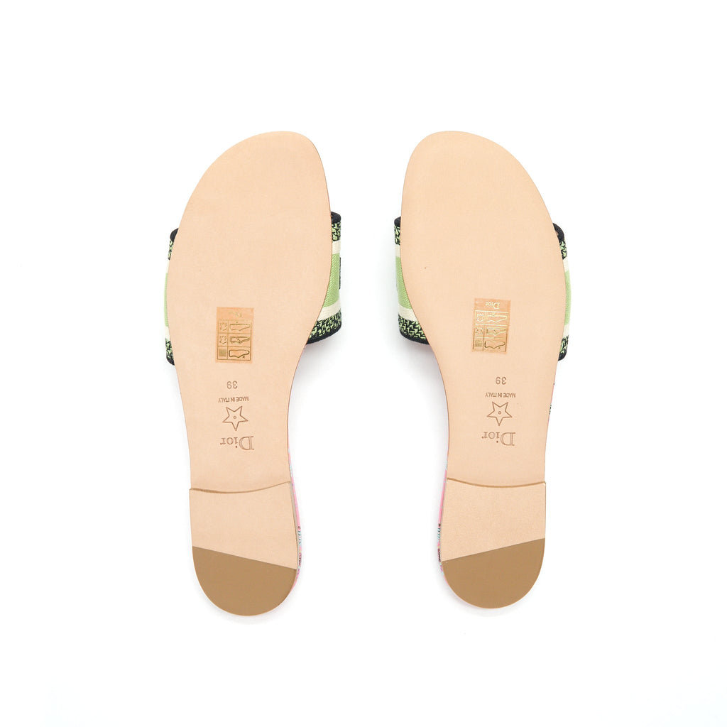 DIOR DWAY SLIDE MULTICOLOUR