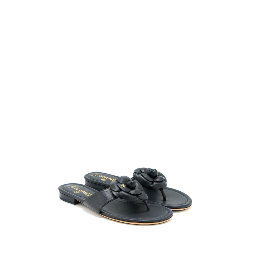 CHANEL CAMELIA SANDAL BLACK GOLD TONE